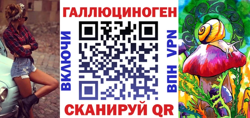 закладка  Северо-Курильск  Псилоцибиновые грибы Psilocybe 